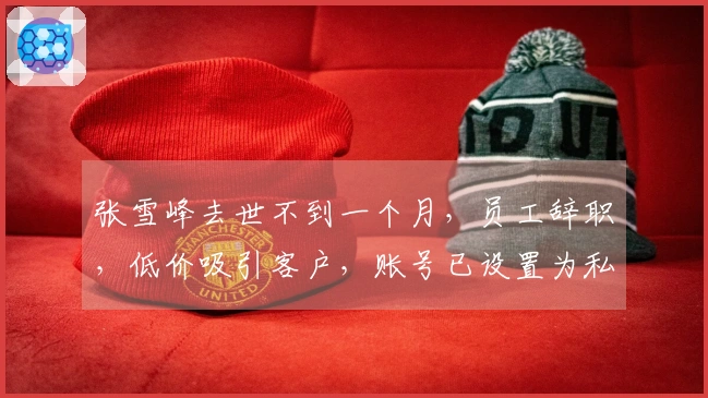 张雪峰去世不到一个月，员工辞职，低价吸引客户，账号已设置为私密