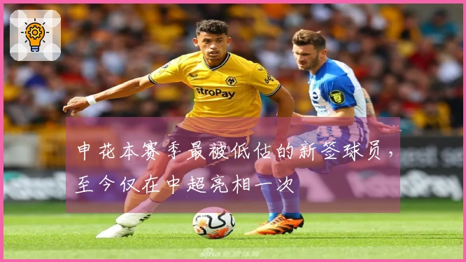 申花本赛季最被低估的新签球员，至今仅在中超亮相一次