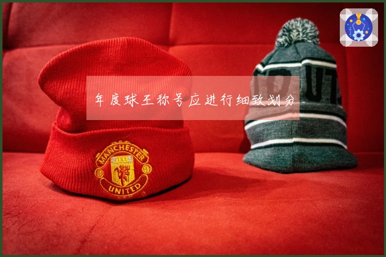 年度球王称号应进行细致划分
