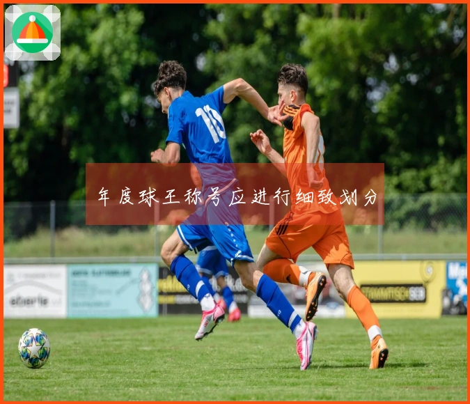 年度球王称号应进行细致划分
