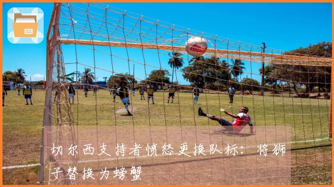 切尔西支持者愤怒更换队标:将狮子替换为螃蟹